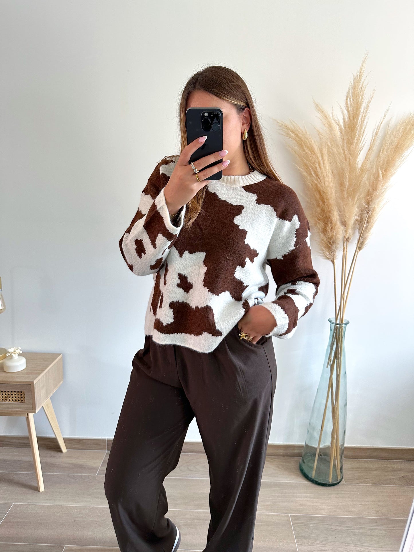 Pull imprimé BROWNIE