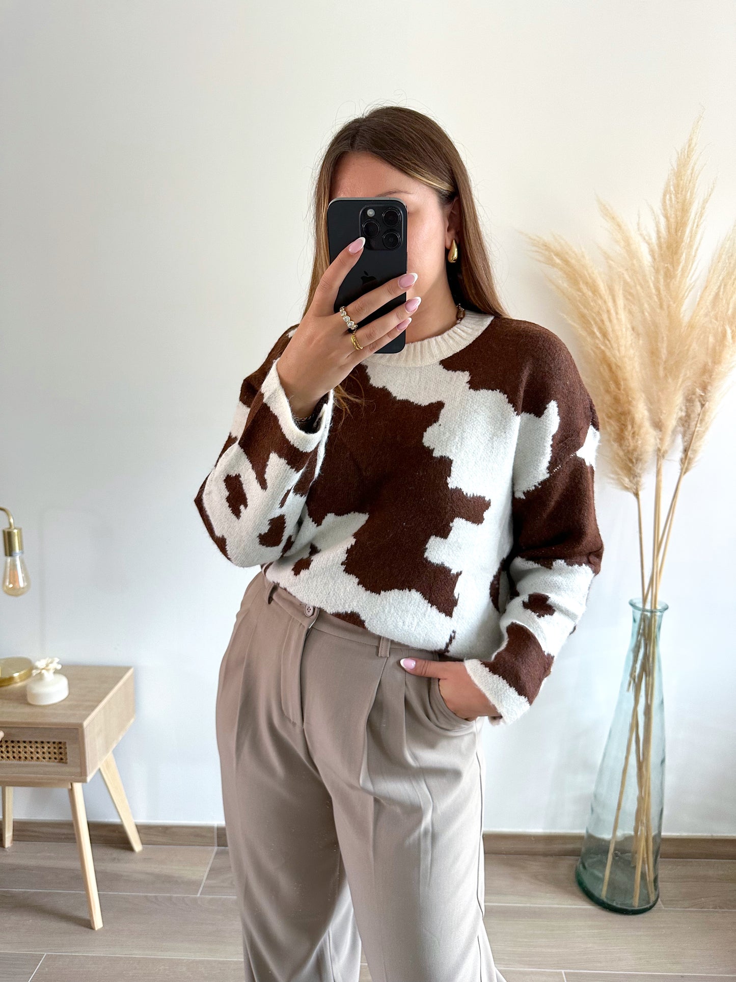 Pull imprimé BROWNIE
